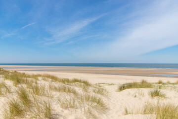 beach landscape of Nord Sea in Netherlands