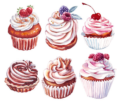 Cupcake. Dessert. Watercolor illustration. Hand-painted