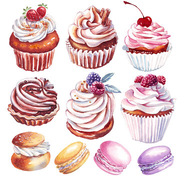 Cupcake. Dessert. Watercolor illustration. Hand-painted