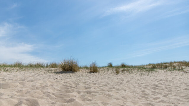 beach landscape of Nord Sea in Netherlands