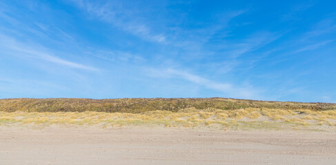 sand dunes in the coast of Nord Sea in Netherlands