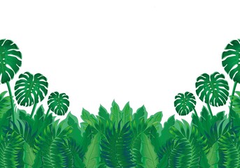 Floral pattern, green, split-leaf Philodendron plant with vines on white background, pastel vintage theme..