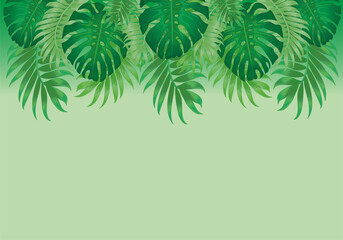 pattern with monstera leaves. Decorative image of tropical foliage and flower. Background made without clipping