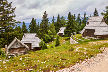 Slowenien, Velika Planina, Hirtensiedlung.