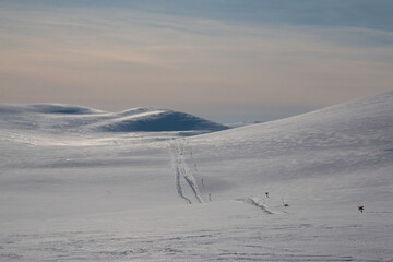 Skiing track between Serve and Aigert mountain huts in Swedish Lapland, a part of Kungsleden trail, April, winter season.