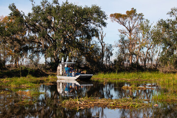 A tour airboat is looking for alligators in the swamps near New Orleans, Louisiana, January 2022