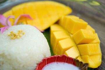 Sticky rice served on banana leaves with Sweet Barracuda Mango and coconut milk.
