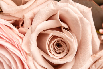 Beige pink fresh rose petals in macro. Soft focus. Backdrop for wedding invitation. Valentines, Mothers, Females Day present concept. Light natural eco-friendly wallpaper