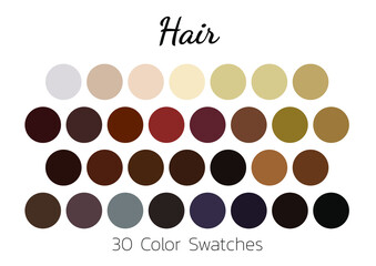 Collection Color palette, swatch color palette, Flat vector illustration