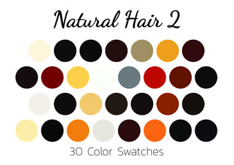 Collection Color palette, swatch color palette, Flat vector illustration