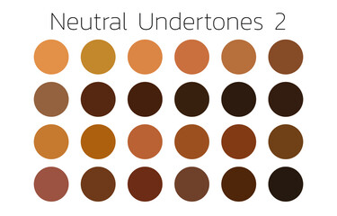 Collection Color palette, swatch color palette, Flat vector illustration