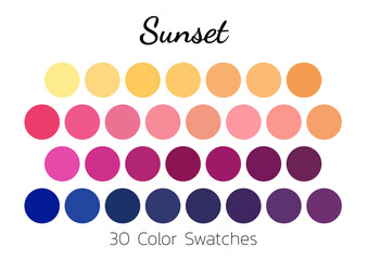 Collection Color palette, swatch color palette, Flat vector illustration