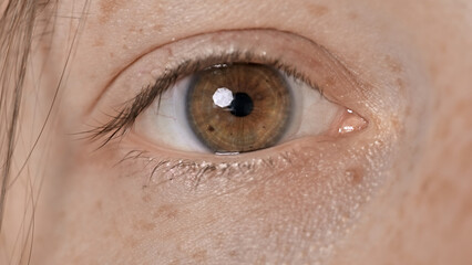 Closeup shot of the hazel eye of a female
