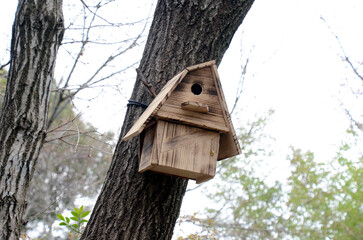 林の巣箱
