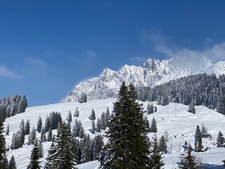 Snow-capped alpine peak Säntis (Saentis or Santis, 2502 m) in Alpstein mountain range and in Appenzell Alps massif, Alt St. Johann - Canton of St. Gallen, Switzerland (Schweiz)