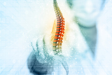 Doctor check and diagnose the human spine on blurred background. 3d illustration