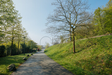 Fototapeta na wymiar a big wheel in the summer. Ferris wheel in a green city. amusement park in Germany