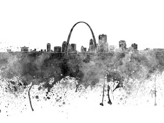 Obraz premium St louis skyline watercolor 