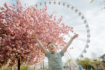 Little boy rejoices in the beginning of spring. Cherry blossom in spring. Child is happy about the...