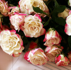 Thriving of full bloom flowerscape, floral visual of live flowers wall, beautiful roses background. Front top photo of a pink roses with selective focus in a bouquet on a soft green background 