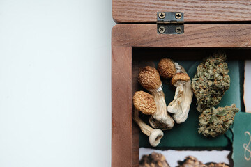 Stuf psilocybin mushrooms Golden Teacher with cannabis buds on the wooden box