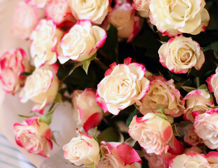 Thriving of full bloom flowerscape, floral visual of live flowers wall, beautiful roses background. Front top photo of a pink roses with selective focus in a bouquet on a soft green background 