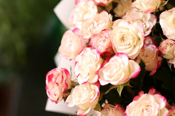 Thriving of full bloom flowerscape, floral visual of live flowers wall, beautiful roses background. Front top photo of a pink roses with selective focus in a bouquet on a soft green background 
