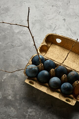 gray eggs lie in a golden box on a concrete