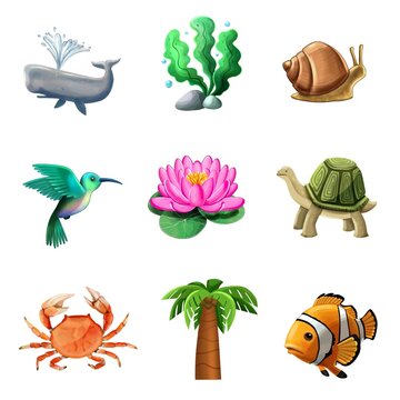 Marine animals, plants and birds. Set of illustrations on white background