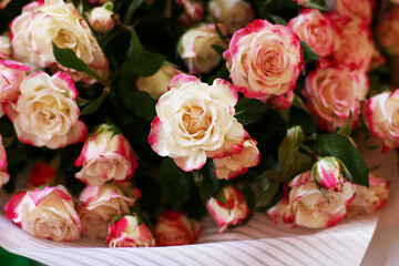 Thriving of full bloom flowerscape, floral visual of live flowers wall, beautiful roses background. Front top photo of a pink roses with selective focus in a bouquet on a soft green background 
