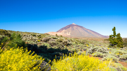 Teide Vulkan auf Teneriffa - Kanarische Inseln, Spanien