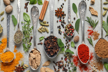 Different herbs and spices with spoons on grey table, flat lay