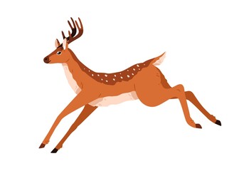 Fototapeta na wymiar Cute deer jumping, running away. Happy baby reindeer moving. Graceful fawn, spotted horny animal. Pretty lovely woodland character. Colored flat vector illustration isolated on white background
