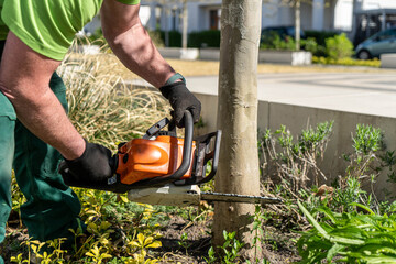 Closeup of male hands cutting a tree with a chainsaw