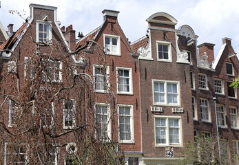Amsterdam Begijnhof Courtyard Historic Brick House Facades with Tree, Netherlands