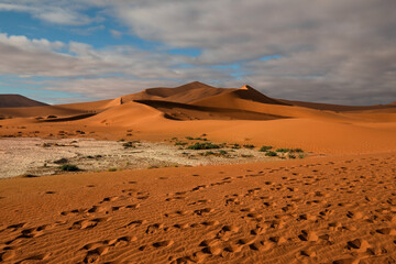 Namib desert landscape panoramic scene of huge red dunes
