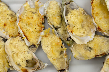 Baked oysters with cheese in a dish