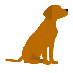 golden retriever dog illustration icon