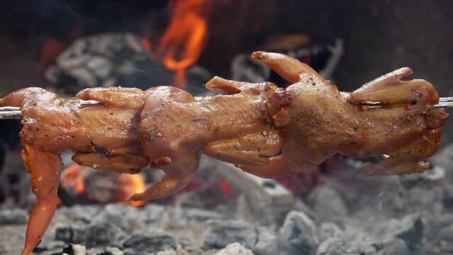 Raw marinated juicy quails on the skewer are rotated on the background open fire