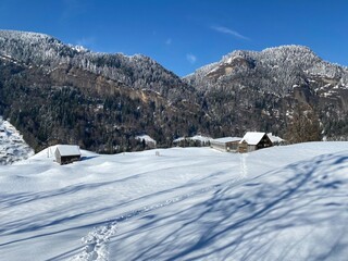 Fototapeta premium Fairytale alpine winter atmosphere with snow-covered coniferous trees and stone cliffs on the mountain peak Hinderfallenchopf (1531 m), Nesslau - Obertoggenburg region, Switzerland (Schweiz)
