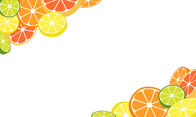 柑橘系のくだもの_断面_フレーム