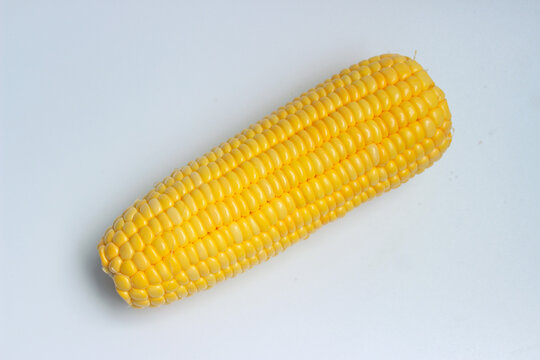 Sweet Corn or Maize (Zea mays). Isolated
