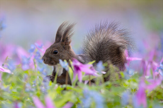 浦臼町 Images Browse 66 Stock Photos Vectors And Video Adobe Stock