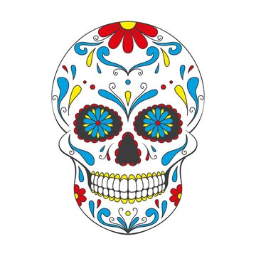 Day of The Dead sugar Skull with floral ornament. Mexican skull. Vector illustration isolated on white background