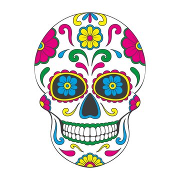 Day of The Dead sugar Skull with floral ornament. Mexican skull. Vector illustration isolated on white background