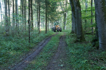 Forwarder driving in the green forest in spring - obrazy, fototapety, plakaty
