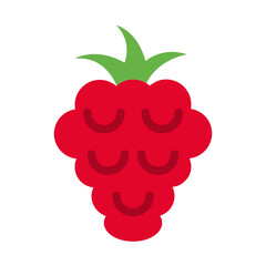 Raspberry , Fruits flat icon.