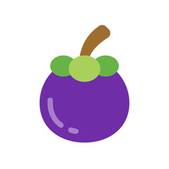 Mangosteen , Fruits flat icon.
