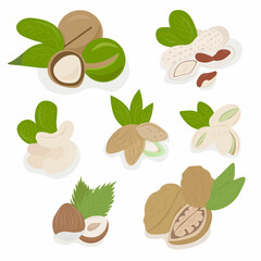 set of various nuts with leaves