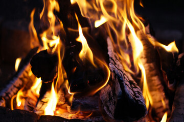 The flame is burning on the logs. - 501518821